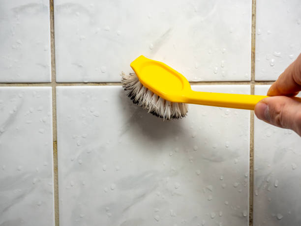 Certified Mold Removal in Wake Village, TX