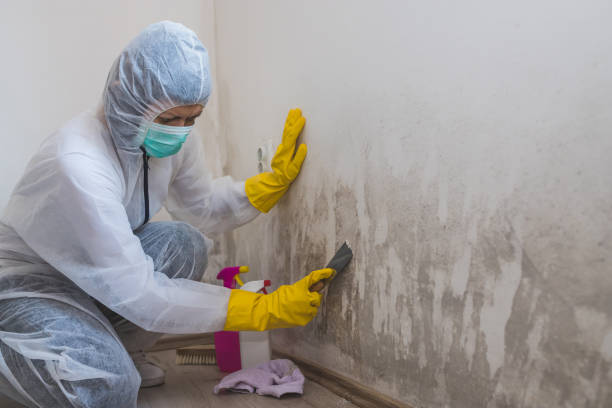 Best Crawl Space Mold Removal  in Wake Village, TX