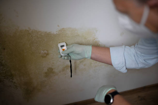 Crawl Space Mold Removal in Wake Village, TX